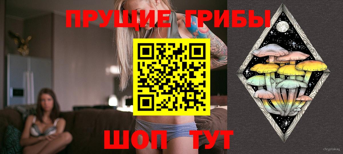 Псилоцибиновые грибы MAGIC MUSHROOMS  Галлюциногенные грибы Cubensis  Междуреченск  Вход с VPN 